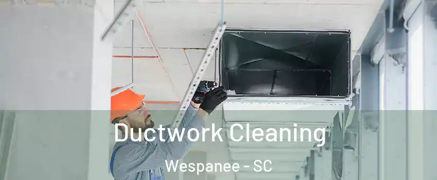 Ductwork Cleaning Wespanee - SC