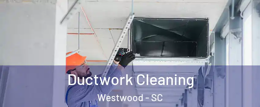 Ductwork Cleaning Westwood - SC