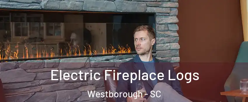 Electric Fireplace Logs Westborough - SC