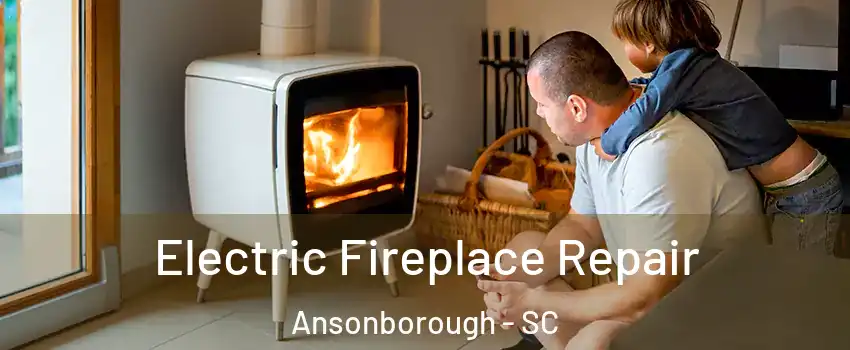 Electric Fireplace Repair Ansonborough - SC