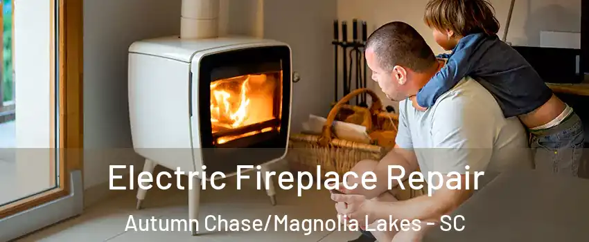 Electric Fireplace Repair Autumn Chase/Magnolia Lakes - SC