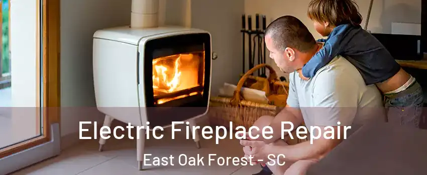 Electric Fireplace Repair East Oak Forest - SC