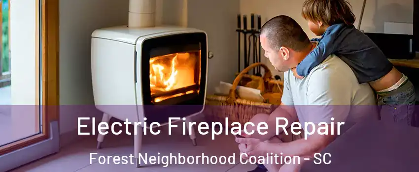 Electric Fireplace Repair Forest Neighborhood Coalition - SC