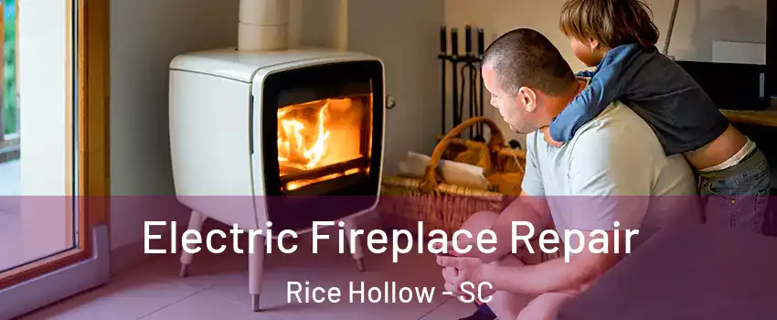 Electric Fireplace Repair Rice Hollow - SC