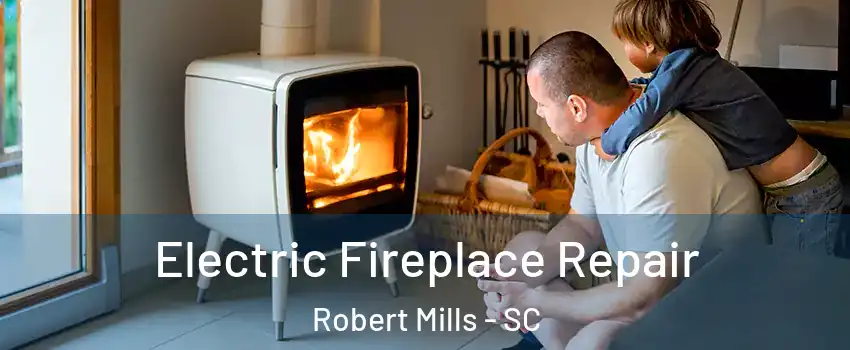 Electric Fireplace Repair Robert Mills - SC