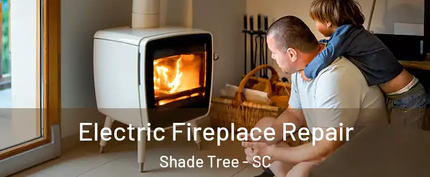 Electric Fireplace Repair Shade Tree - SC