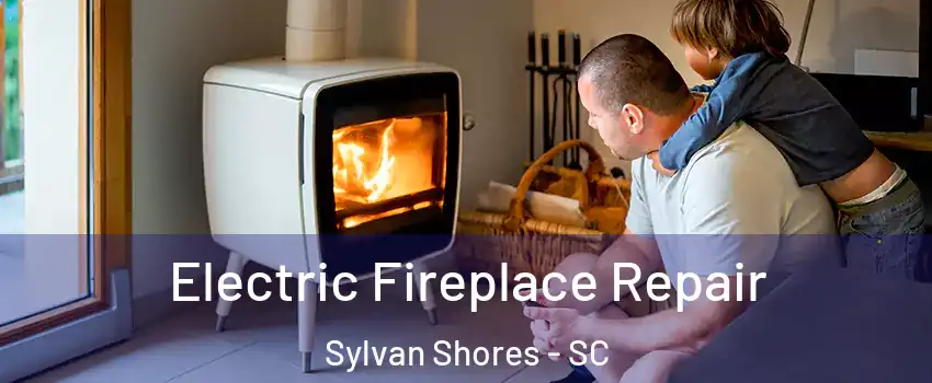 Electric Fireplace Repair Sylvan Shores - SC