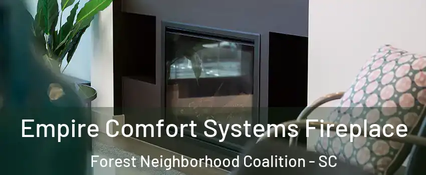 Empire Comfort Systems Fireplace Forest Neighborhood Coalition - SC