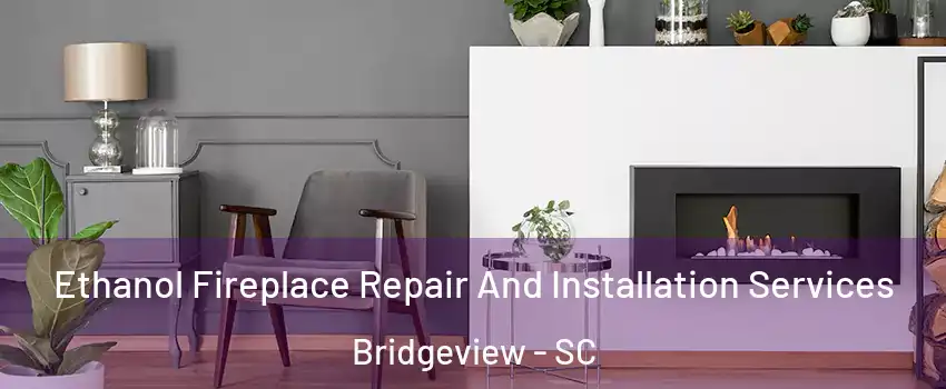 Ethanol Fireplace Repair And Installation Services Bridgeview - SC