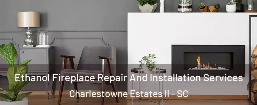 Ethanol Fireplace Repair And Installation Services Charlestowne Estates II - SC