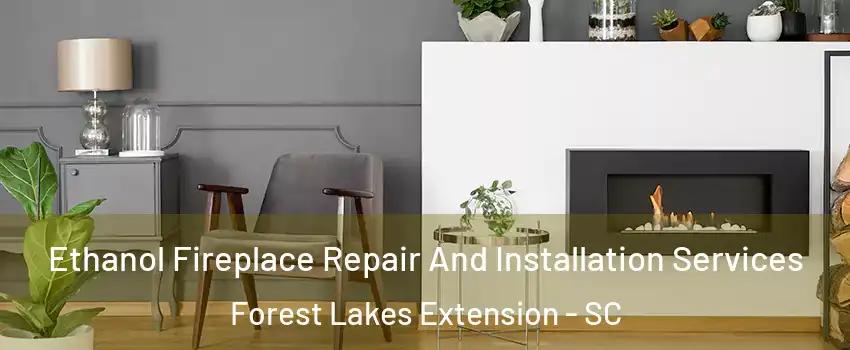 Ethanol Fireplace Repair And Installation Services Forest Lakes Extension - SC