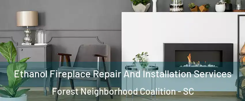 Ethanol Fireplace Repair And Installation Services Forest Neighborhood Coalition - SC