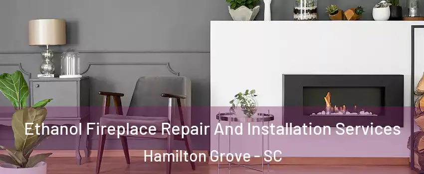 Ethanol Fireplace Repair And Installation Services Hamilton Grove - SC