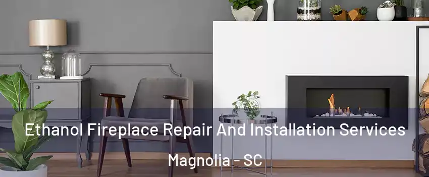 Ethanol Fireplace Repair And Installation Services Magnolia - SC