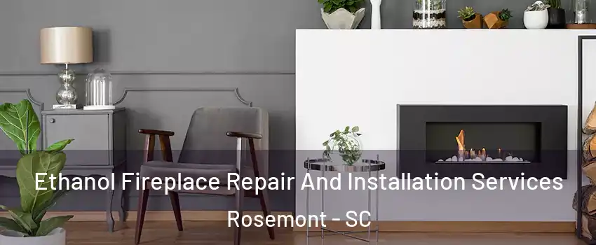 Ethanol Fireplace Repair And Installation Services Rosemont - SC