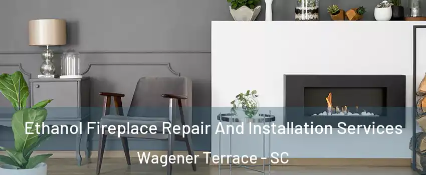 Ethanol Fireplace Repair And Installation Services Wagener Terrace - SC