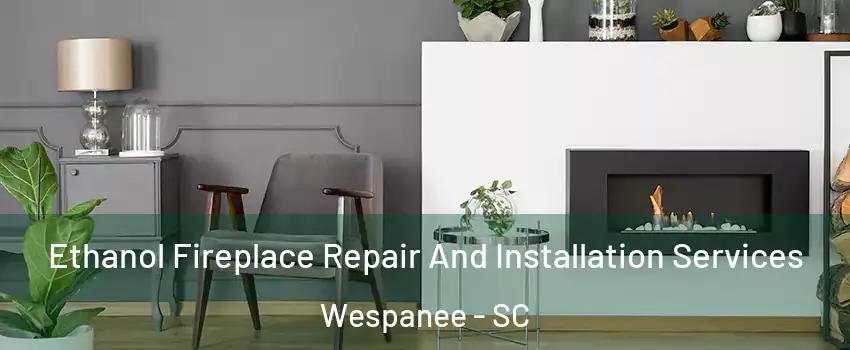 Ethanol Fireplace Repair And Installation Services Wespanee - SC