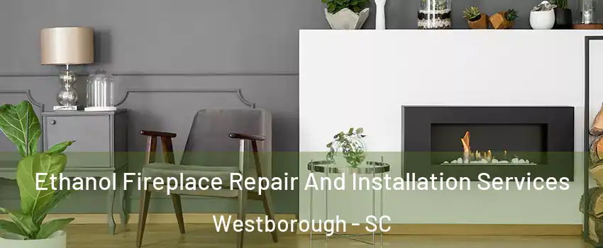 Ethanol Fireplace Repair And Installation Services Westborough - SC