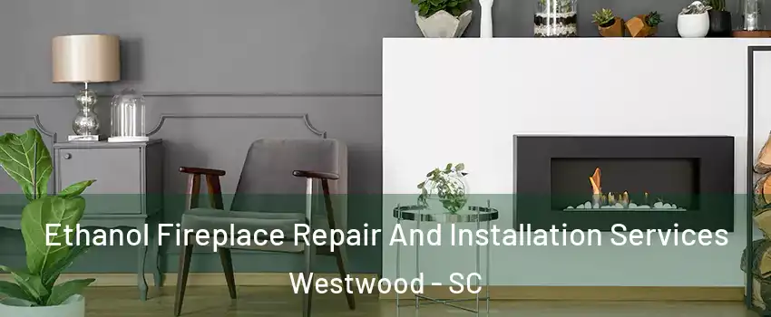 Ethanol Fireplace Repair And Installation Services Westwood - SC