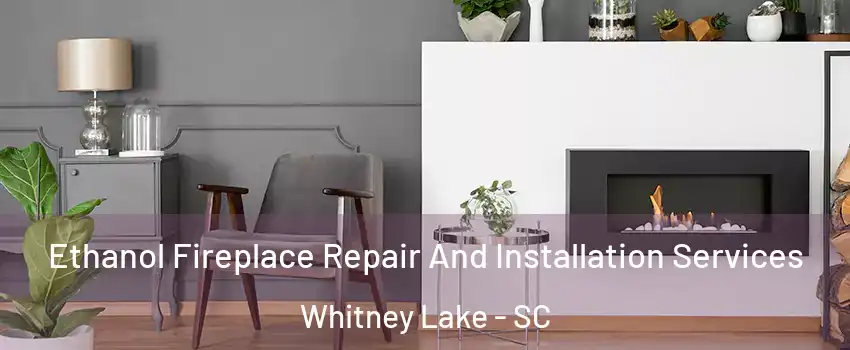 Ethanol Fireplace Repair And Installation Services Whitney Lake - SC