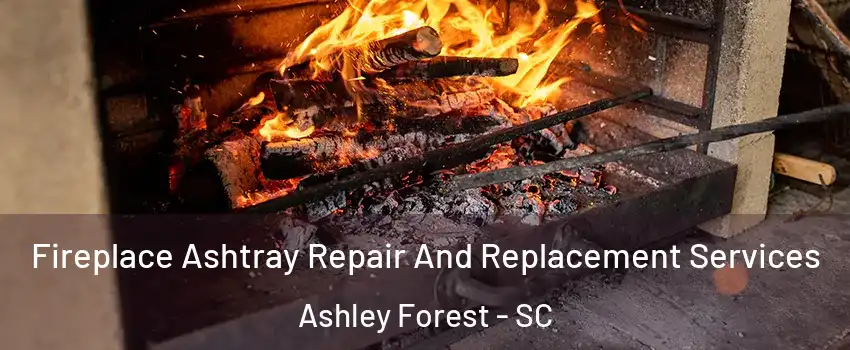 Fireplace Ashtray Repair And Replacement Services Ashley Forest - SC