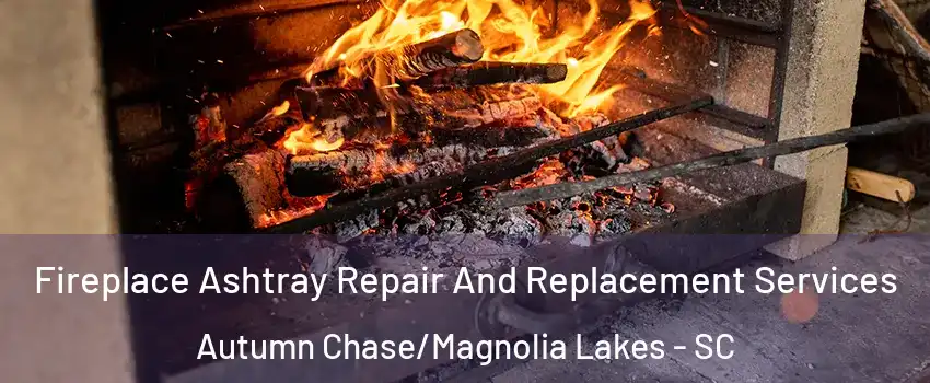 Fireplace Ashtray Repair And Replacement Services Autumn Chase/Magnolia Lakes - SC