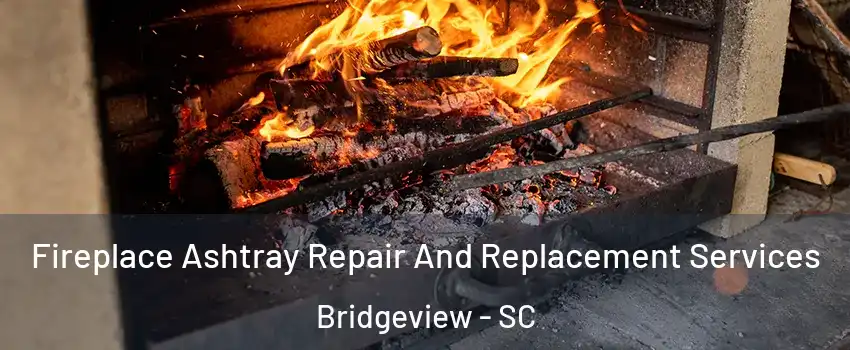 Fireplace Ashtray Repair And Replacement Services Bridgeview - SC