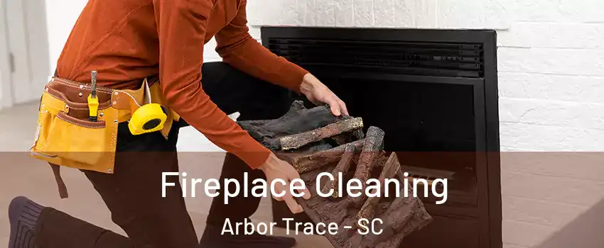 Fireplace Cleaning Arbor Trace - SC