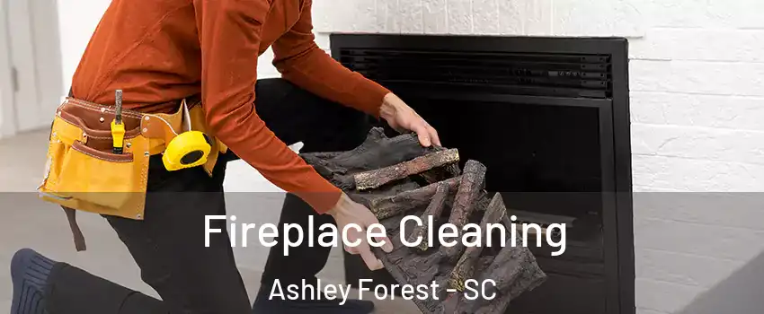 Fireplace Cleaning Ashley Forest - SC