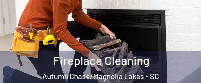 Fireplace Cleaning Autumn Chase/Magnolia Lakes - SC