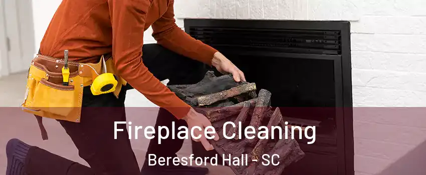 Fireplace Cleaning Beresford Hall - SC