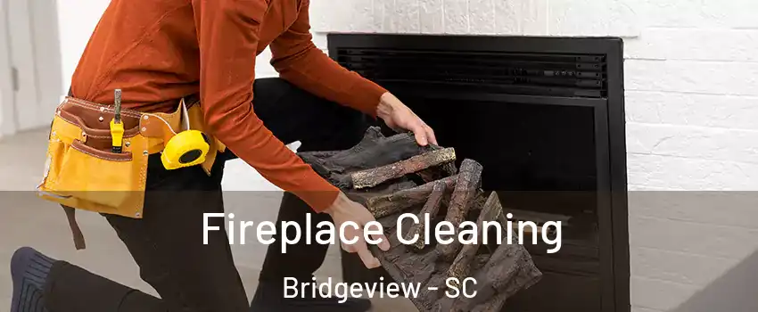 Fireplace Cleaning Bridgeview - SC