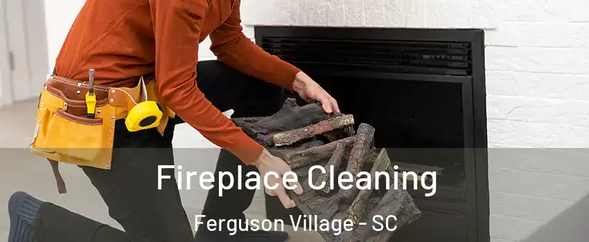 Fireplace Cleaning Ferguson Village - SC