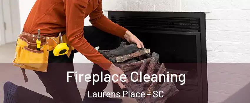 Fireplace Cleaning Laurens Place - SC