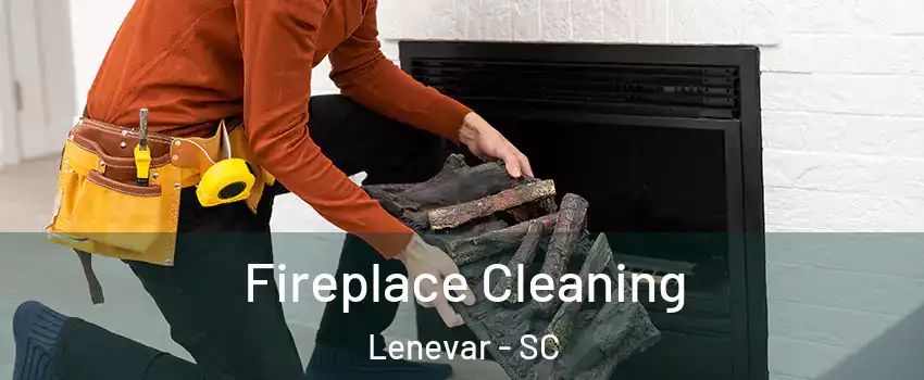 Fireplace Cleaning Lenevar - SC