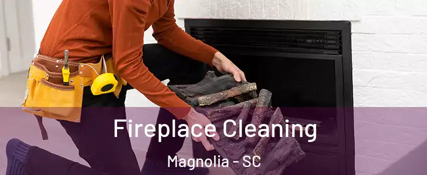 Fireplace Cleaning Magnolia - SC