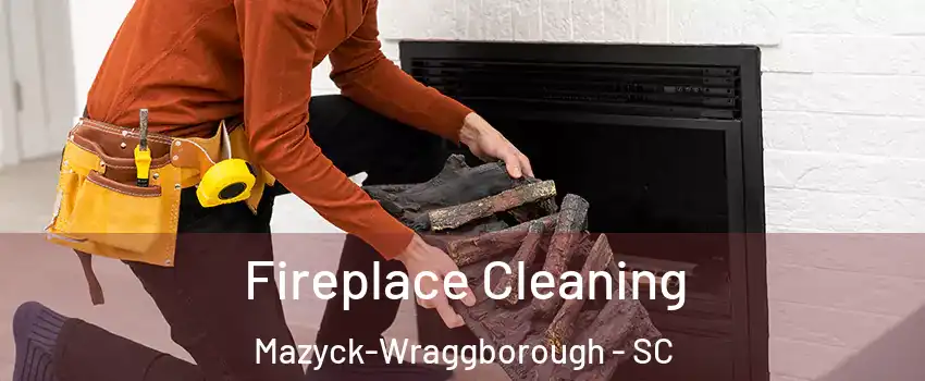 Fireplace Cleaning Mazyck-Wraggborough - SC