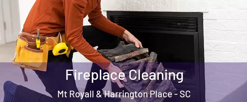 Fireplace Cleaning Mt Royall & Harrington Place - SC