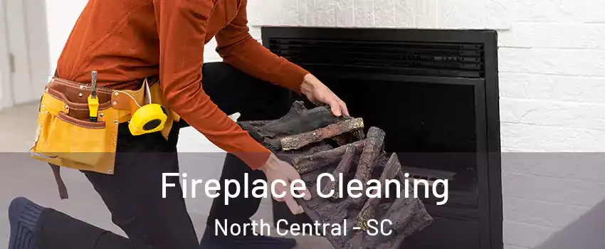 Fireplace Cleaning North Central - SC