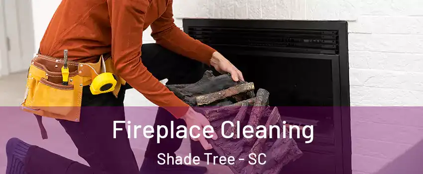 Fireplace Cleaning Shade Tree - SC