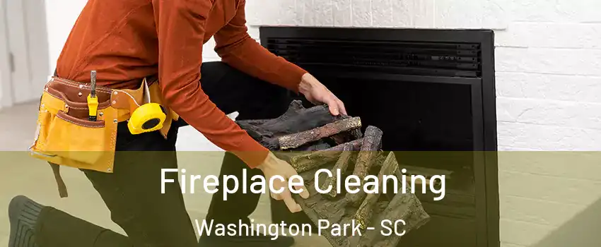 Fireplace Cleaning Washington Park - SC