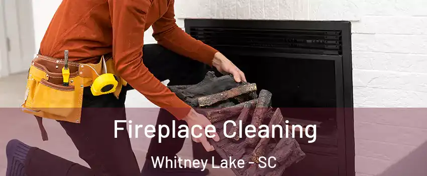 Fireplace Cleaning Whitney Lake - SC