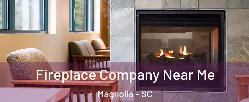 Fireplace Company Near Me Magnolia - SC