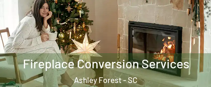 Fireplace Conversion Services Ashley Forest - SC