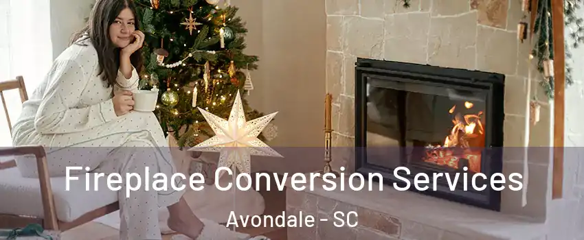 Fireplace Conversion Services Avondale - SC