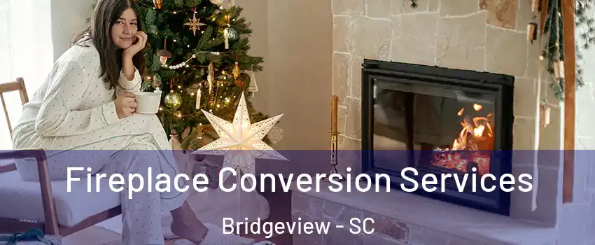 Fireplace Conversion Services Bridgeview - SC