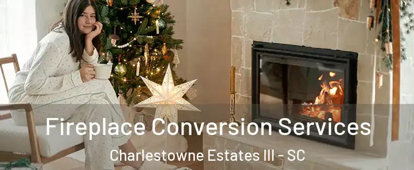 Fireplace Conversion Services Charlestowne Estates III - SC