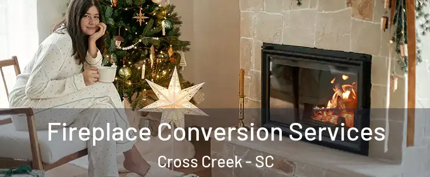 Fireplace Conversion Services Cross Creek - SC