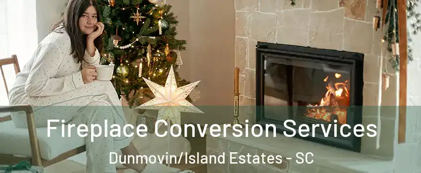 Fireplace Conversion Services Dunmovin/Island Estates - SC