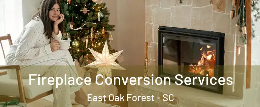 Fireplace Conversion Services East Oak Forest - SC